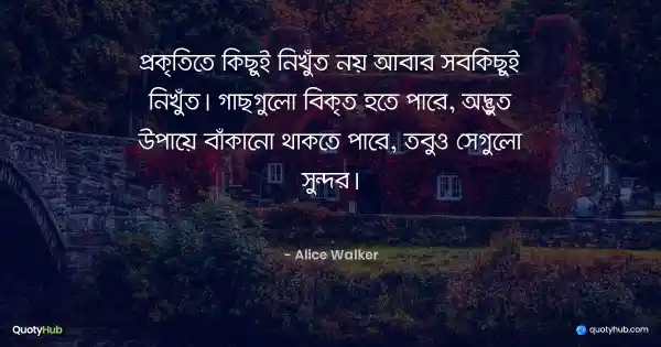 প্রকৃতিতে কিছুই নিখুঁত নয় আবার সবকিছুই নিখুঁত। গাছগুলো বিকৃত হতে পারে, অদ্ভুত উপায়ে বাঁকানো থাকতে পারে, তবুও সেগুলো সুন্দর। - Alice Walker