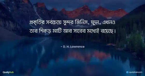প্রকৃতির সবচেয়ে সুন্দর জিনিস, ফুল, এখনও তার শিকড় মাটি আর সারের মধ্যেই রয়েছে। - D. H. Lawrence
