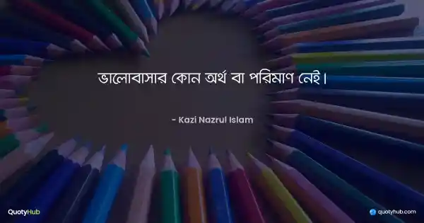ভালোবাসার কোন অর্থ বা পরিমাণ নেই। - কাজী নজরুল ইসলাম