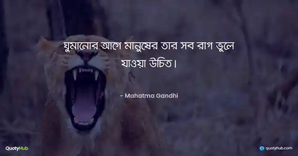 ঘুমানোর আগে মানুষের তার সব রাগ ভুলে যাওয়া উচিত। - Mahatma Gandhi